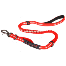 Heavy Duty Dog Leine Nylon